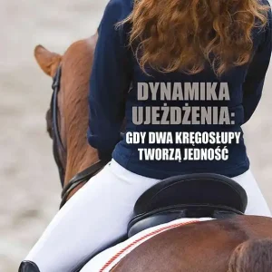 Dynamika ujeżdżenia: gdy dwa kręgosłupy tworzą jedność Najlepsza cena