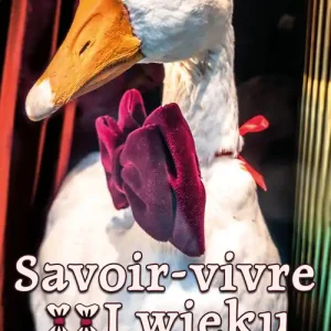 Oferta limitowana Savoir-vivre XXI wieku Polityka okiem prowincjusza
