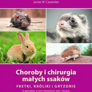 Choroby i chirurgia małych ssaków Fretki, króliki, gryzonie Szybka wysyłka