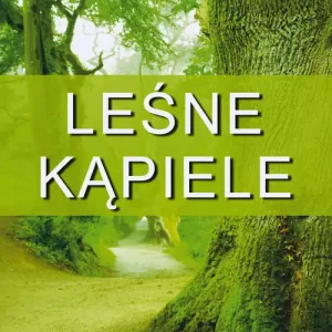 Leśne kąpiele Obniżka ceny