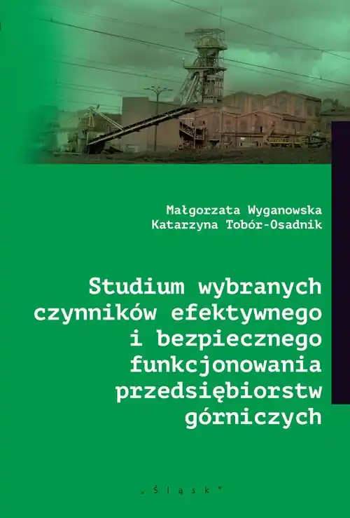 Oferta limitowana Studium wybranych czynników efektywnego i bezpiecznego funkcjonowania przedsiębiorstw górniczych