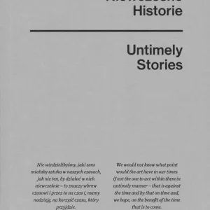 Darmowa dostawa Niewczesne historie / Untimely stories