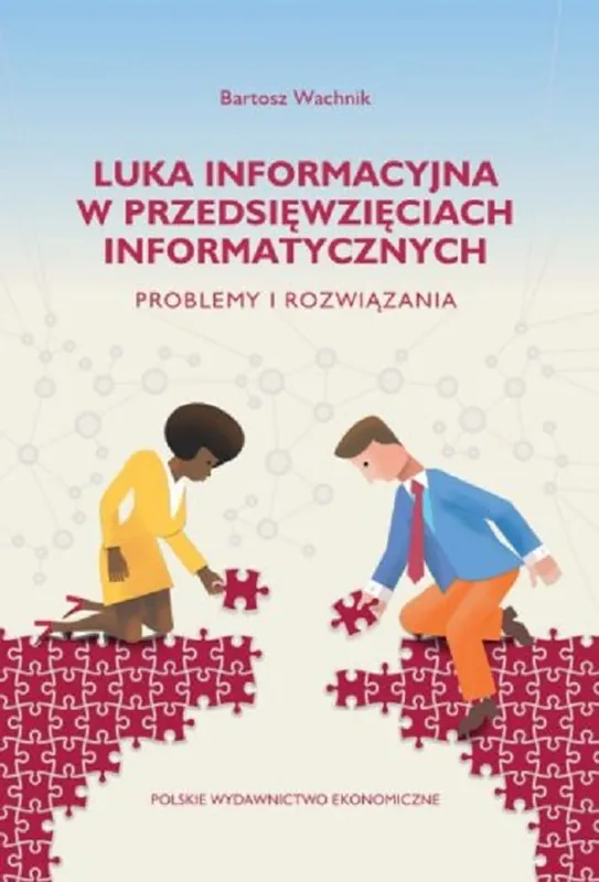 Luka informacyjna w przedsięwzięciach informatycznych. Problemy i rozwiązania Cena promocyjna