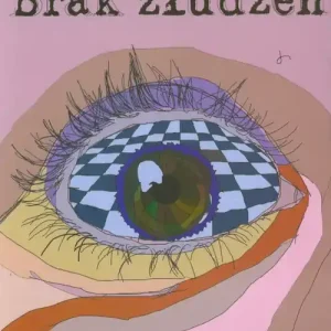 Brak złudzeń - Marcin Pietraszek Rabat