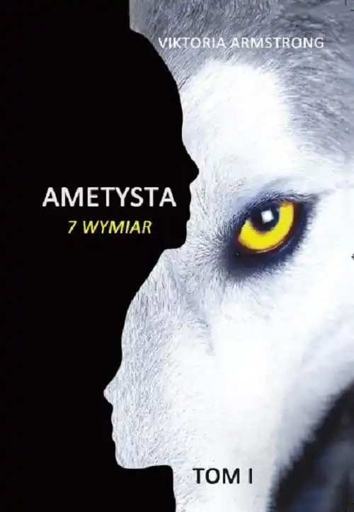 Ametysta 7 wymiar Tom 1 Hit cenowy