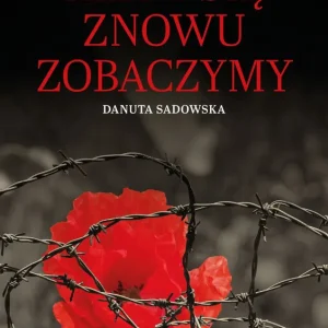 Kup online Kiedy się znowu zobaczymy