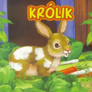Królik JAFI Nowy