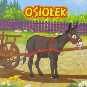 Rabat Osiołek JAFI