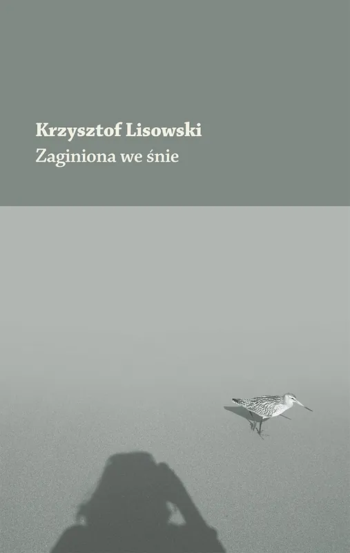 Zaginiona we śnie Okazja