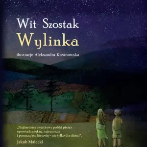 Wylinka Oferta czasowa