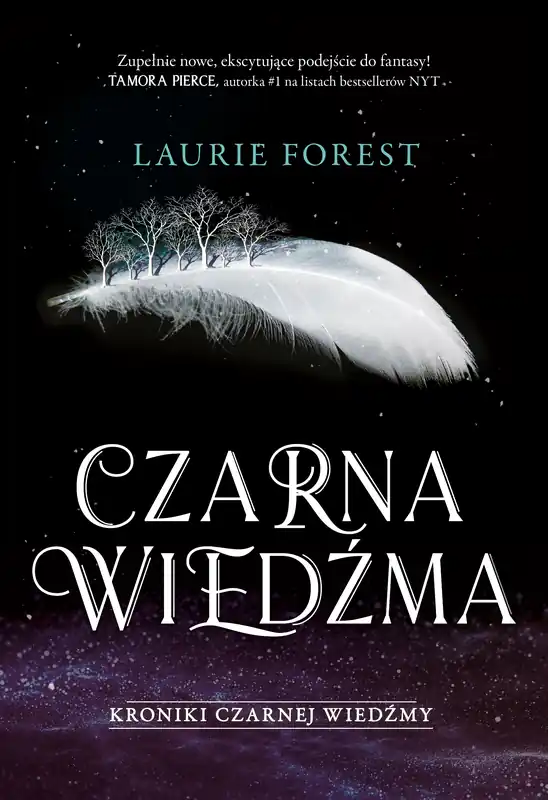 Hit cenowy Czarna Wiedźma. Kroniki Czarnej Wiedźmy. Tom 1